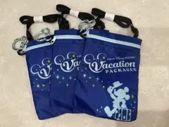 【新品/未使用】ディズニー　バケーションパッケージ　ポーチ　3個セット