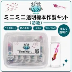 ミニ透明標本作製キット 中級 ネズミ 自由研究 理科教材 実験キット