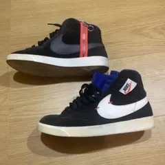 Item thumbnail for item 742c1c8f-7247-48a8-a71e-5dc48d465008