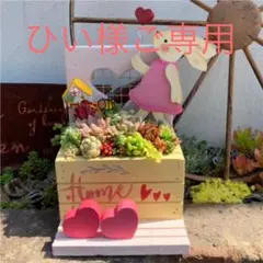 ★多肉植物　寄せ植え〜♡もちうさぎさん寄せ〜★