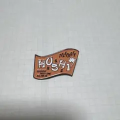 未使用　SEVENTEEN ホシ　ピンバッジ