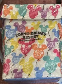 未使用⭐︎東京ディズニーリゾート ポップコーンケース ポップコーンバケット