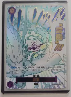 雷龍 ジャムブウル パラレル - メルカリ