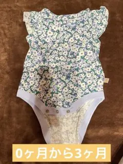 Item thumbnail for item 14b95f66-cef8-46a7-a4f4-8dc7cc0159bf