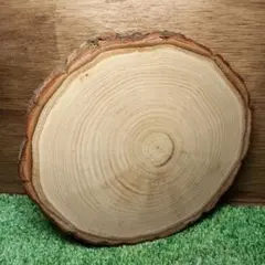 Item thumbnail for item 7f7e239d-3985-42e4-a5da-73f233b63ae0