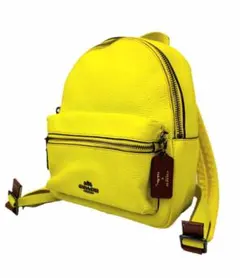 2025年最新】水原希子 coachの人気アイテム - メルカリ