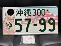 琉球政府時代 ナンバープレート 沖縄 自動車 レア プレミア ナンバー