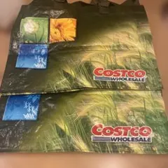 COSTCO ショッピングバッグ 2枚セット