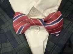蝶ネクタイ　ストライプ柄ボルドー　赤　ハンドメイド