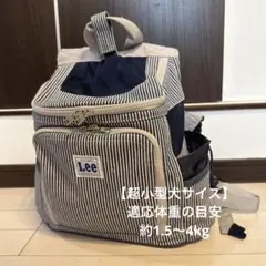 Lee ストライプバックパックのサムネイル