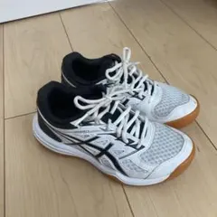 Item thumbnail for item 34f2df5b-2d5f-4012-af75-dc9b47a7e698