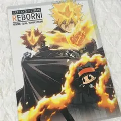 【希少】家庭教師ヒットマンREBORN 沢田綱吉 プリーモ クリアファイル 未開