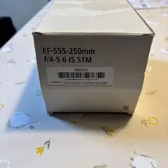 2026年最新】ef-s55-250mm f4-5.6 is stmの人気アイテム - メルカリ