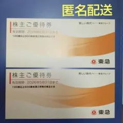 東急 株主優待 東京急行 100株以上500株未満 2冊