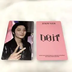 straykids スキズ do it ポップアップ パーカートレカ　アイエン