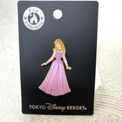 激レア☆シンデレラ アリエル ベル 白雪姫 眠れる森の美女 ピンバッジ 額縁