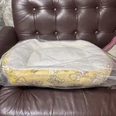 Item thumbnail for item 4ea29152-6f84-4274-9005-782bbfdd7b3f