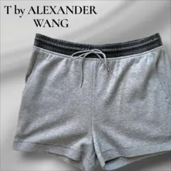 ALEXANDER WANG グリッター ショートパンツ グレー XS ALEXANDER WANG グリッター ショートパンツ グレー XS - メルカリ