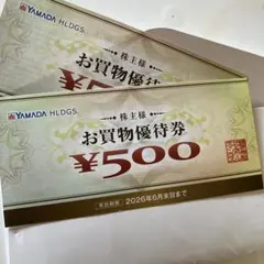 ヤマダ電機お買物優待券 ¥500✖️2枚