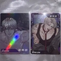 韓国 BL BOMTOON サディスティック・ビューティー 真田×辺見編 トレカ