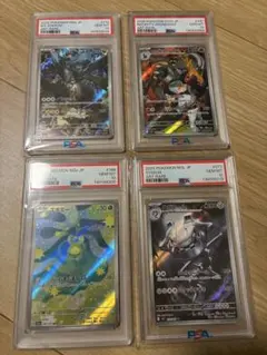 金トレジャー4種 完全不明 プチョヘンザ ルドルフチアスカーレット