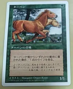 マジック　ザ・ギャザリング　カード　MTG 　ターパン