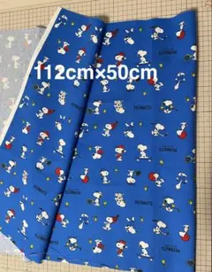 Item thumbnail for item 7e5f4b12-6e89-4f43-8338-15727c61ad03