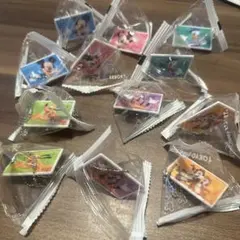 新品未使用 ディズニー パークチケット ネームタグ チャーム キーチェーン