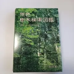 原色樹木検索図鑑 矢野　佐　/ 石倉　忠 著 期間限定値下げのサムネイル