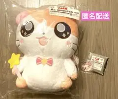 とっとこハム太郎 キャラ福くじ A賞 BIGぬいぐるみ　F賞キーホルダー