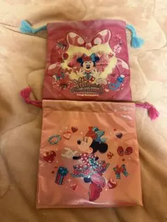 ミニーのファンダーランド 巾着