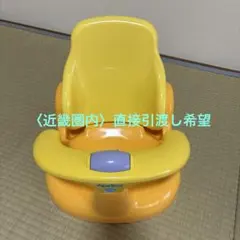 Item thumbnail for item 3a86b513-1fc3-4d28-888f-4703a78668e7