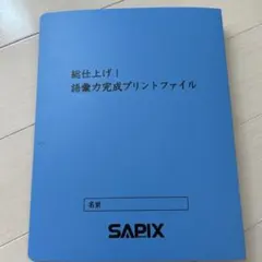 【難関校合格】サピックス 6年 国語 語彙力完成プリント 全24回フルセット 2026年最新】サピックス語彙の人気アイテム - メルカリ