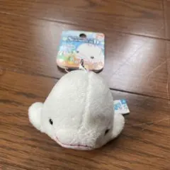 鴨川シーワールドシロイルカマスコットのサムネイル
