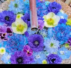 TOP of Pyramid様 リクエスト 2点 まとめ商品