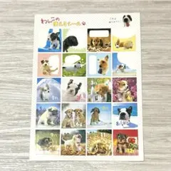 犬のイラスト・写真シールセット