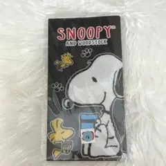 スヌーピー マルチケース ピーナッツ クリアファイル