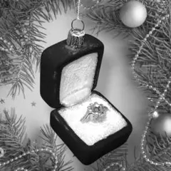 クリスマス オーナメント バッグ　朱色　アスティエ クリスマス オーナメント バッグ 朱色 アスティエ クリスマス