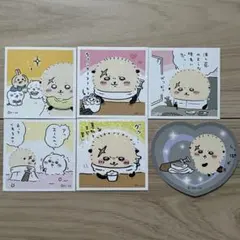 ラッコ　シール ステッカー