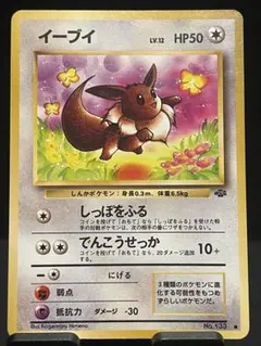 イーブイ Lv.12 ● ポケモンジャングル 旧裏面 ポケカ
