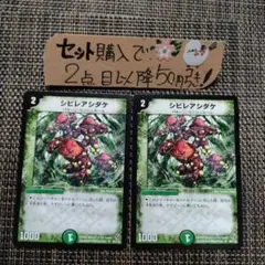 デュエマ シビレアシダケ ベストチャレンジャー 2枚 番号a585