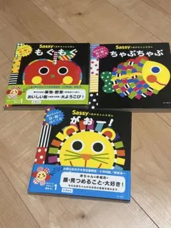 Sassyのあかちゃんえほん 3冊セット