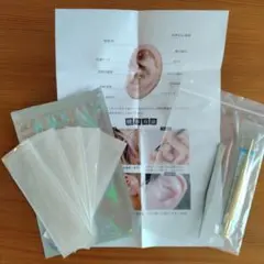 Item thumbnail for item e839db1e-4b69-4b6f-98ef-b8989d04a76b