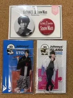 宮舘涼太 アクスタ2点＋缶バッジ セット