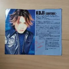 希少　La'cryma Christi KOJI 切り抜き