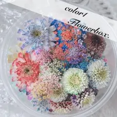 Item thumbnail for item df272d7e-980e-4782-9518-fbf9dc7fc8d9