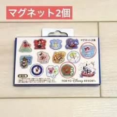 東京ディズニーリゾート マグネット 2個 アリエル ヒューイ デューイ ルーイ