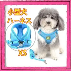 ZUNEA 小型犬 かわいいハーネスリードセット 調節可能 反射テープ メッシュ