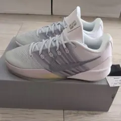 NIKE Sabrina3 サブリナ3 EP HF2882-104　27㎝のサムネイル