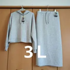 スウェットセットアップ l